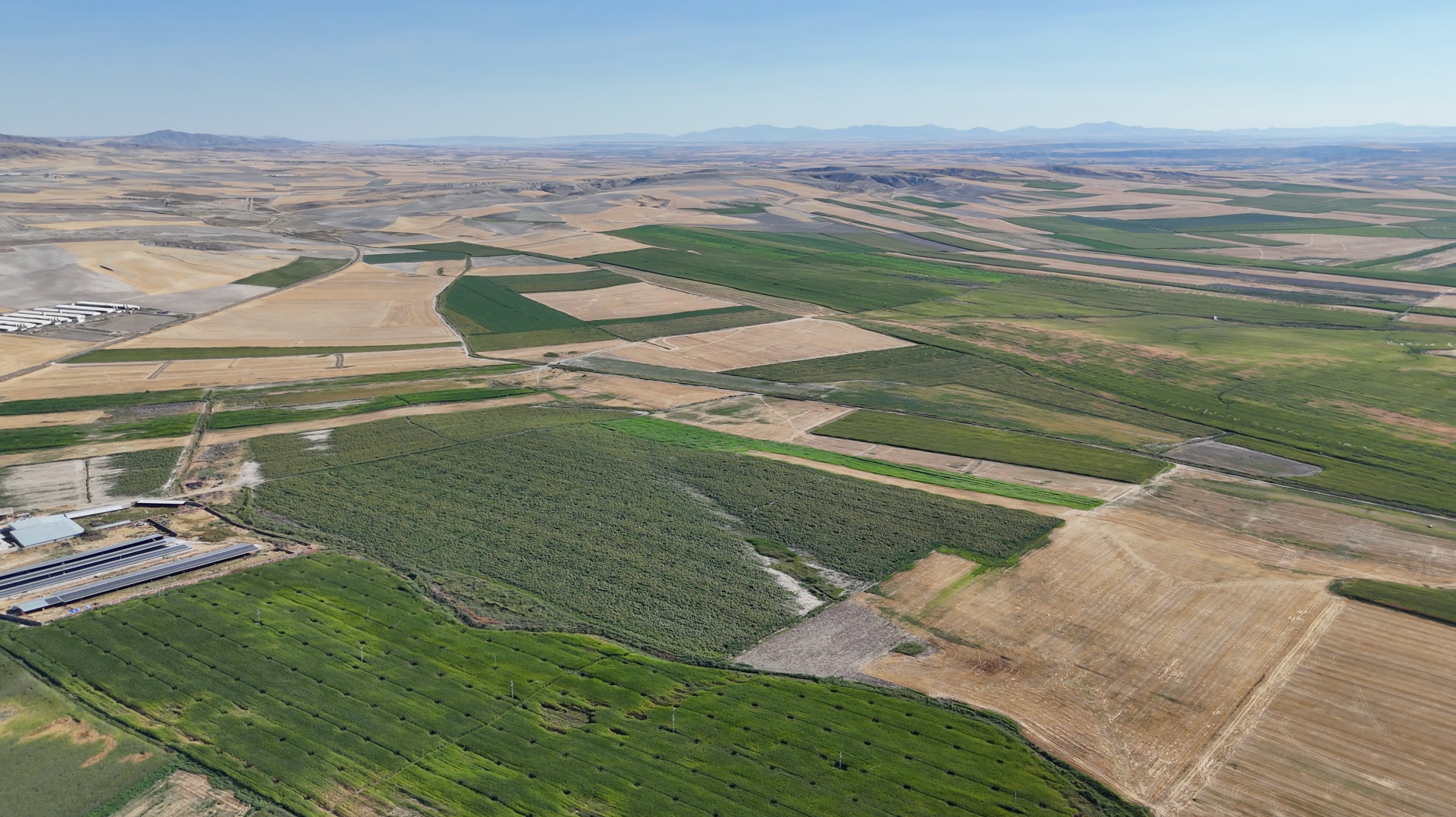 ANKARA POLATLI NİTELİKLİ SULU TARIM HAYVANCILIK TESİSİ