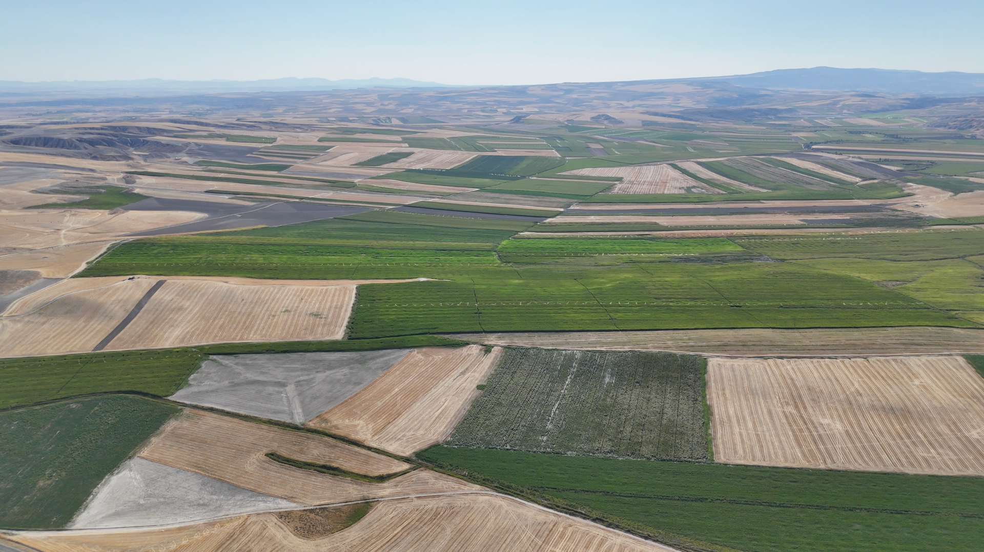 Ankara Polatlı Tarım ve Hayvancılık Tesisi ve Arazisi - 7