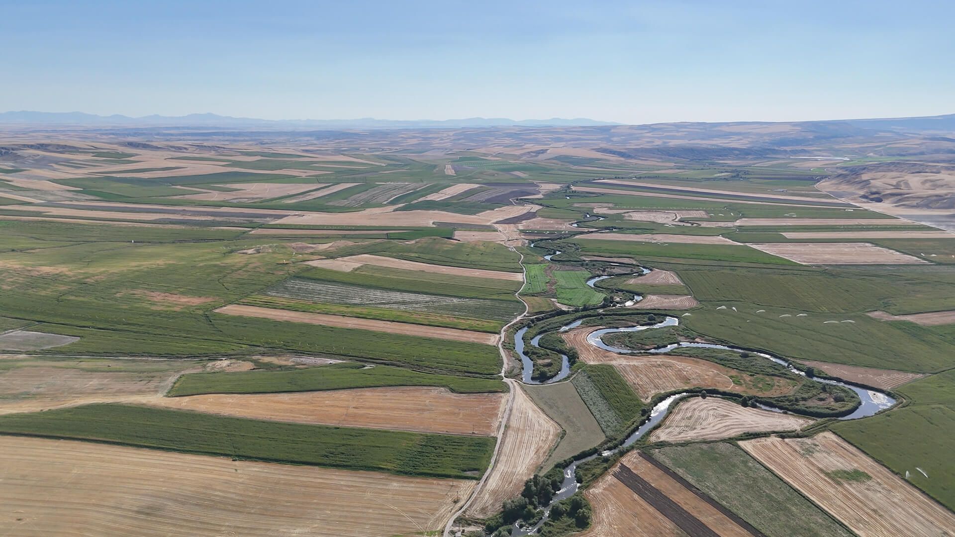 Ankara Polatlı Tarım ve Hayvancılık Tesisi ve Arazisi - 9