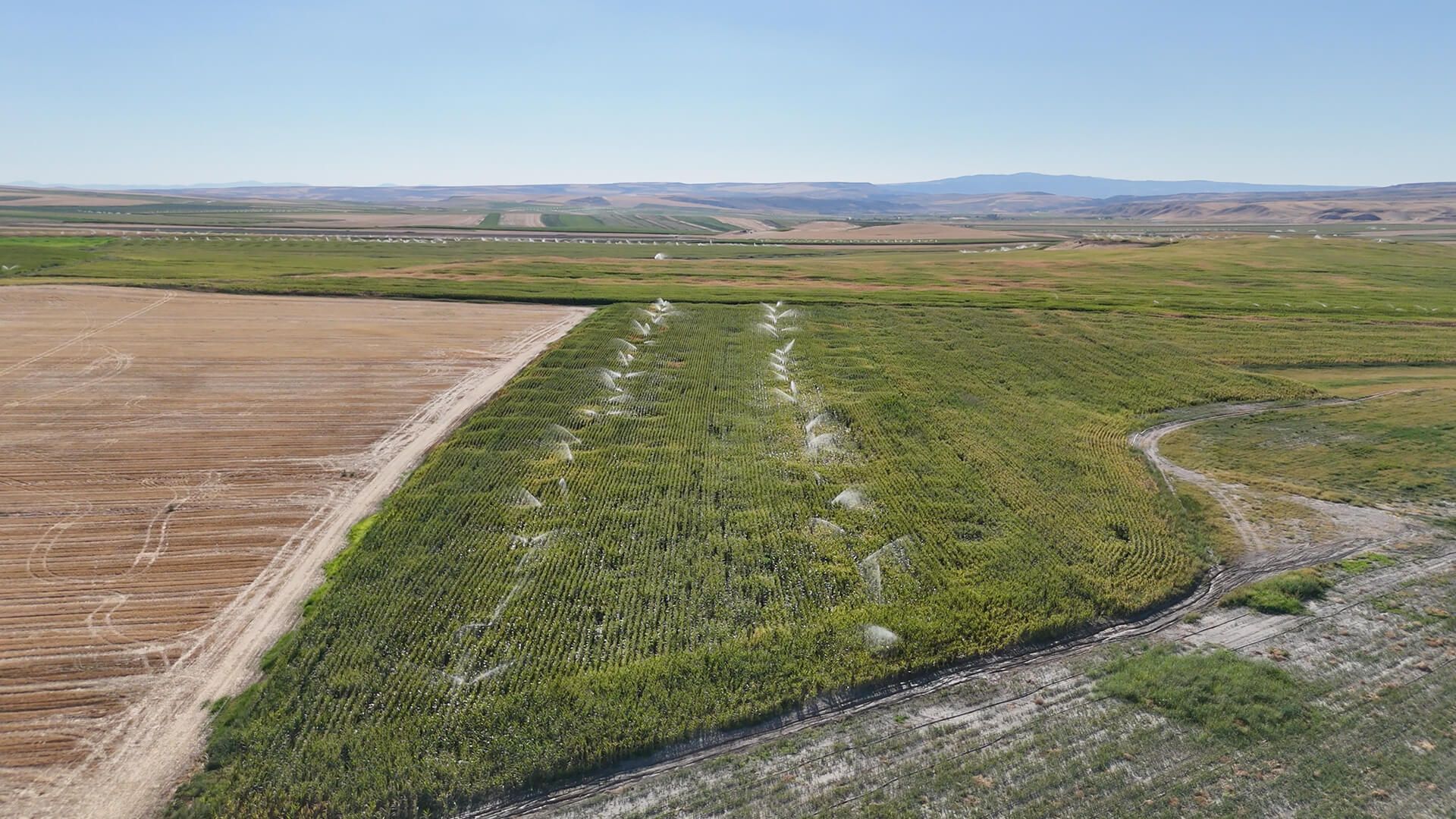 Ankara Polatlı Tarım ve Hayvancılık Tesisi ve Arazisi - 11