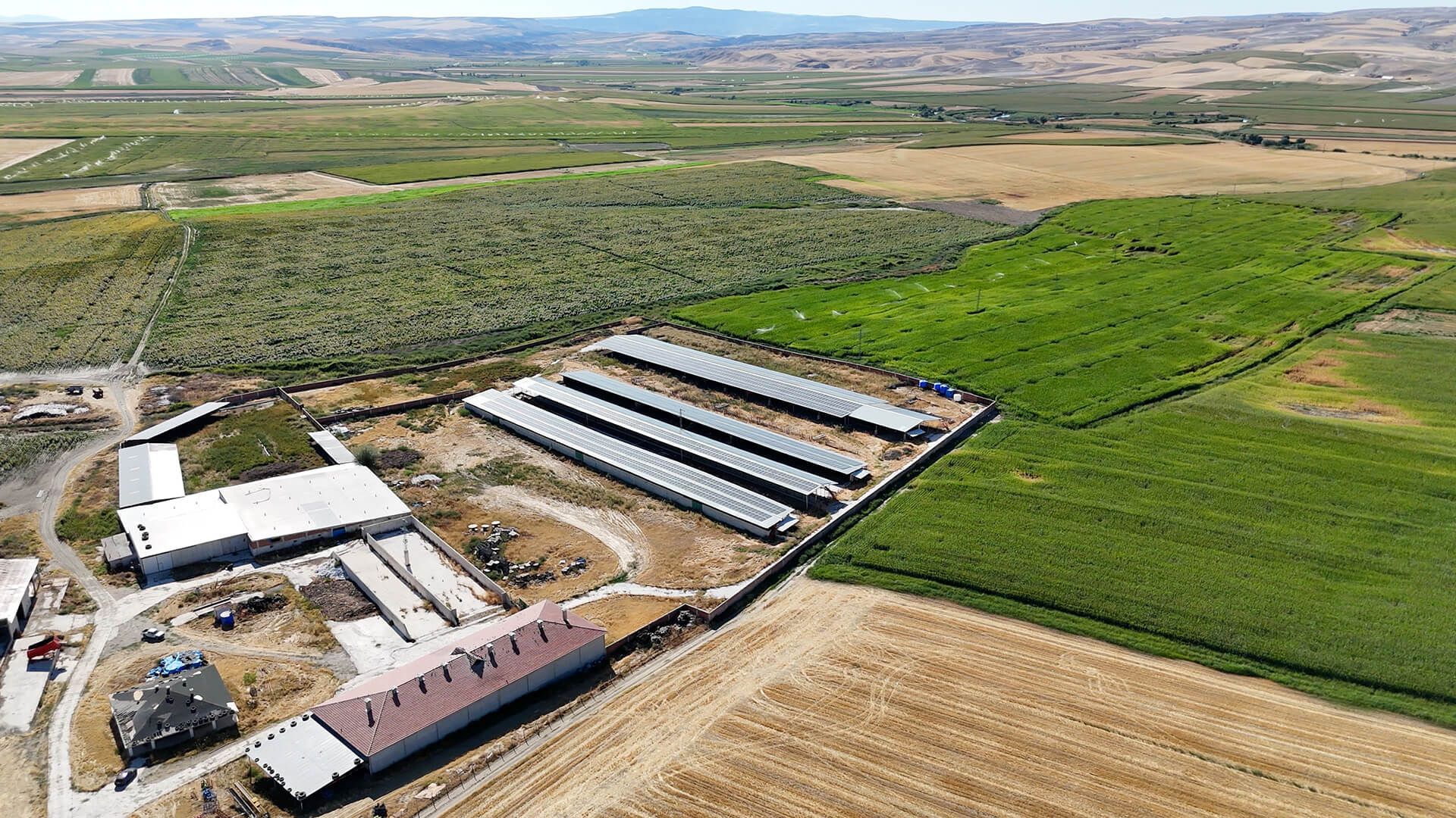 Ankara Polatlı Tarım ve Hayvancılık Tesisi ve Arazisi - 14