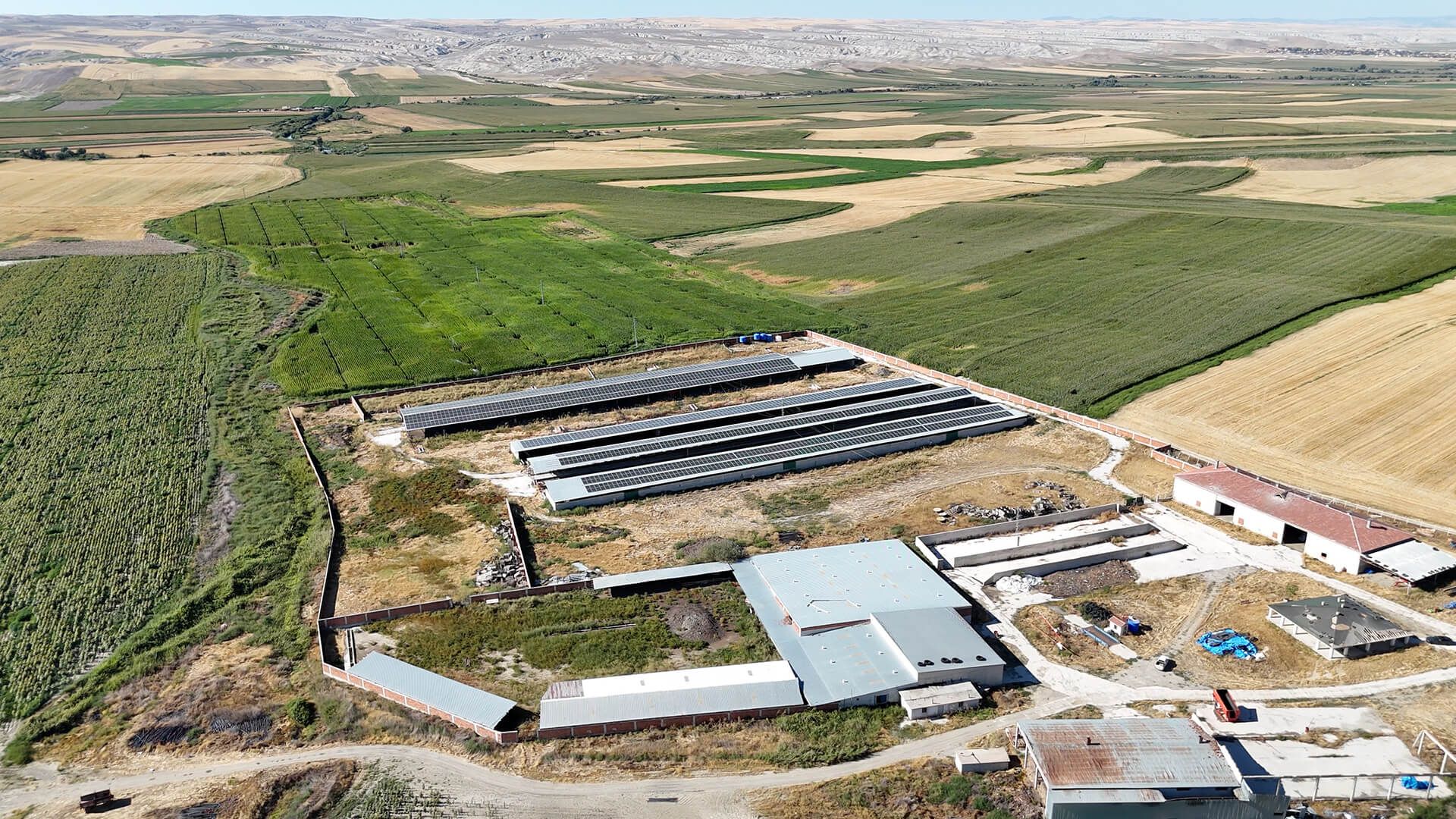 Ankara Polatlı Tarım ve Hayvancılık Tesisi ve Arazisi