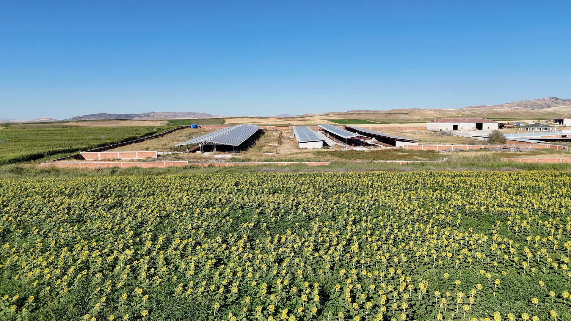 Ankara Polatlı Tarım ve Hayvancılık Tesisi ve Arazisi - 16