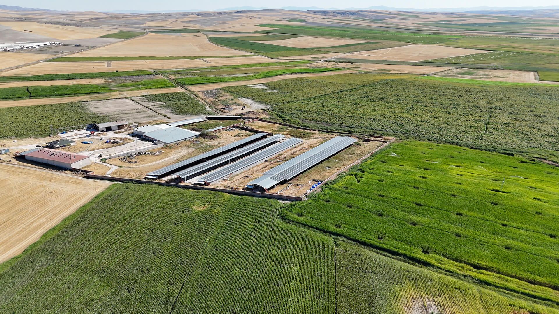 Ankara Polatlı Tarım ve Hayvancılık Tesisi ve Arazisi - 18