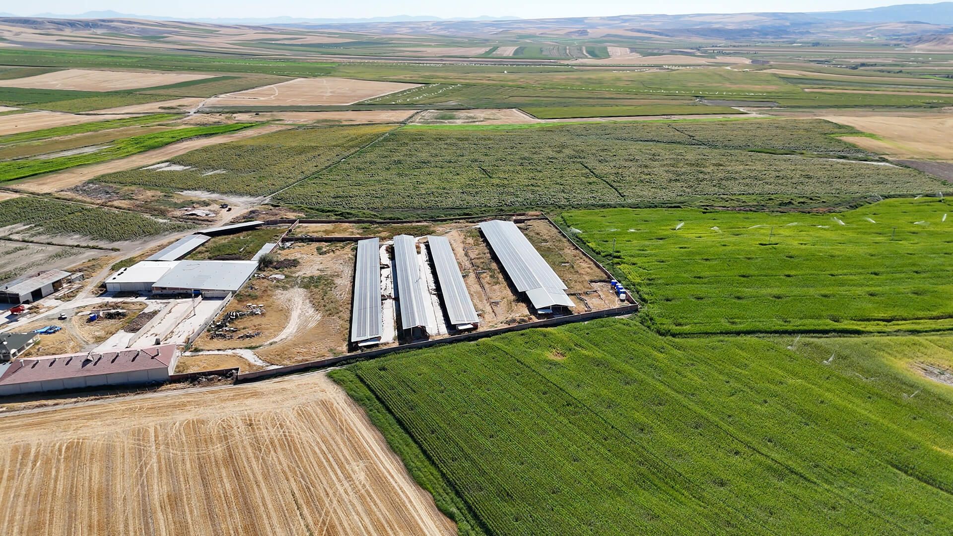 Ankara Polatlı Tarım ve Hayvancılık Tesisi ve Arazisi - 17